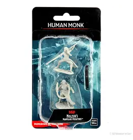 Wizkids D&D Nolzur's - Human Monk Female 90225