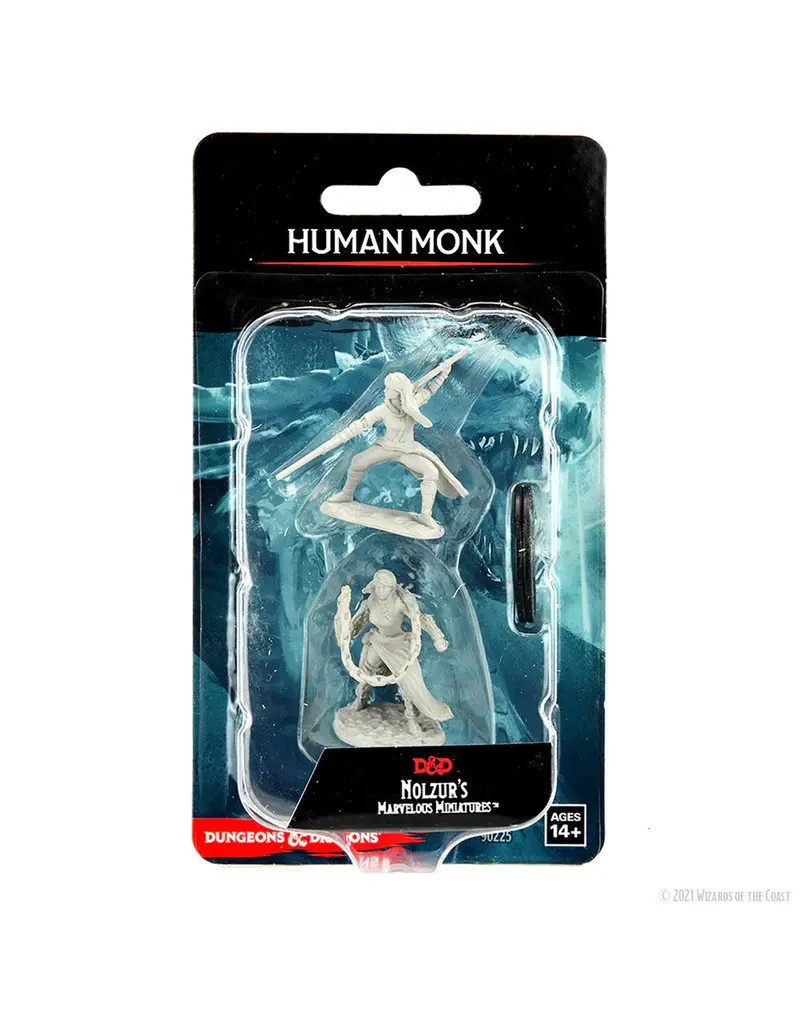 Wizkids D&D Nolzur's - Human Monk Female 90225