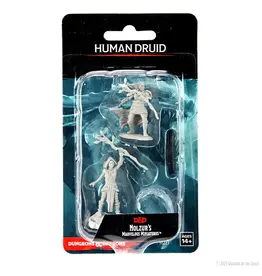 Wizkids D&D Nolzur's - Human Druid Female 90223