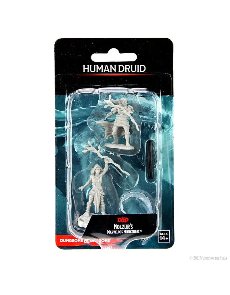 Wizkids D&D Nolzur's - Human Druid Female 90223
