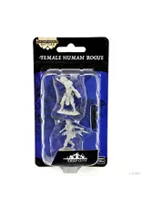 Wizkids PF DC Female Human Rogue 90269