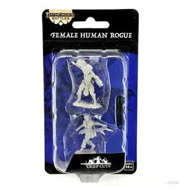 Wizkids PF DC Female Human Rogue 90269
