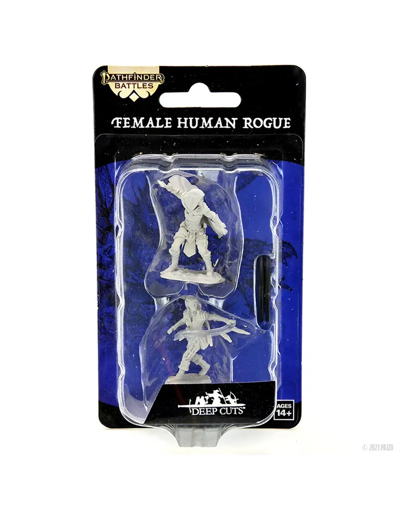 Wizkids PF DC Female Human Rogue 90269