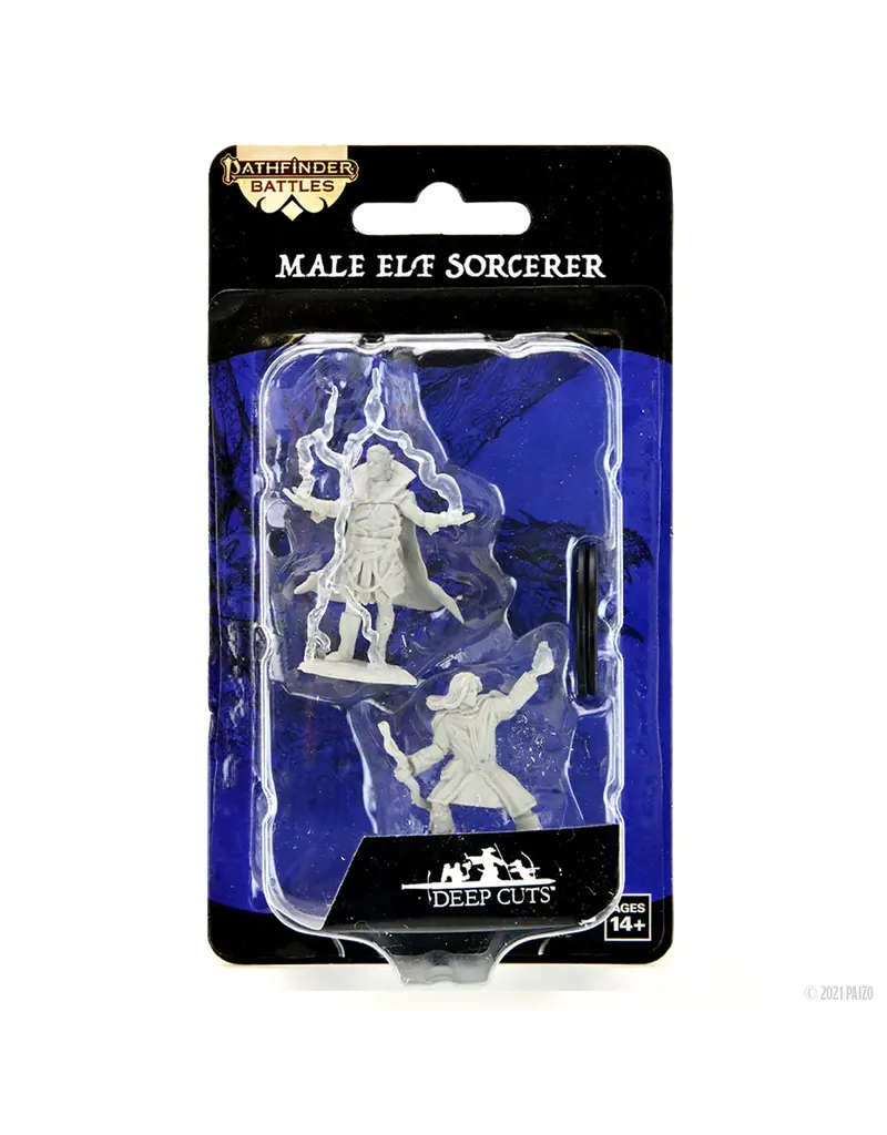 Wizkids PF DC Male Elf Sorcerer 90262