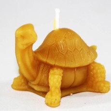 Bee Well Turtle Beeswax Candle