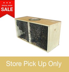 Bee Well Package Bees – Italian Hygienic – Marked Queen - Local pickup