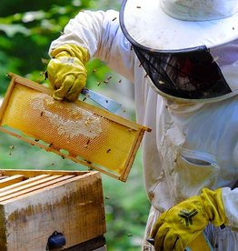 Common Sense Beekeeping Class