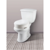 Carex Standard Securable Hinged Toilet Seat Riser