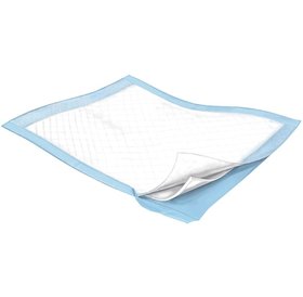 Accessibility Medical  Undergarments, Wipes, & Pads