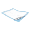 Wings™ Fluff and Polymer Underpads Moderate Absorbency 30" x 30" (5 Pack)