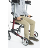 Proactive Protekt Pilot Upright Walker