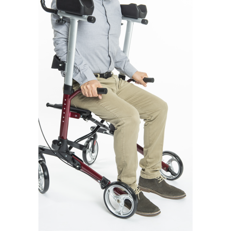 Proactive Protekt Pilot Upright Walker