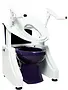 Dignity Lifts-Bidet Toilet Lift-WL1