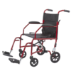Super Lite 19" Aluminum Companion Chair
