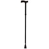 ProBasics Folding Cane - Black