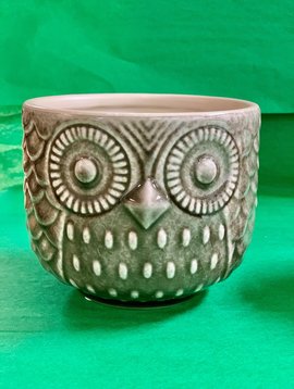 Stoneware Owl Pots