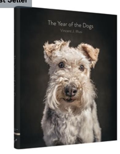 Chronicle Books CHR The Year Of The Dog