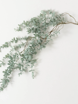 Eucalyptus Spray 37"