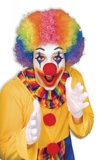 Adult Unisex Clown Afro Wig: Rainbow