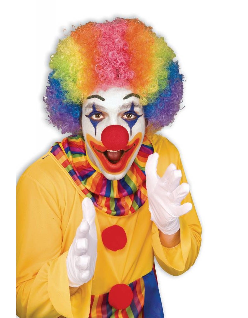 Adult Unisex Clown Afro Wig: Rainbow
