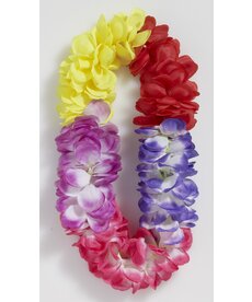 Super Deluxe Multicolor Lei