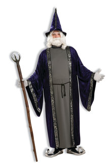 Men's Plus Size Wizard Costume