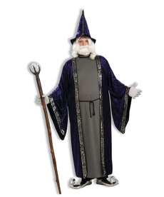 Plus Size Wizard Costume