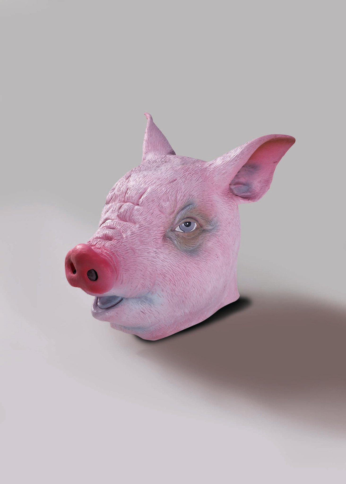 latex pig