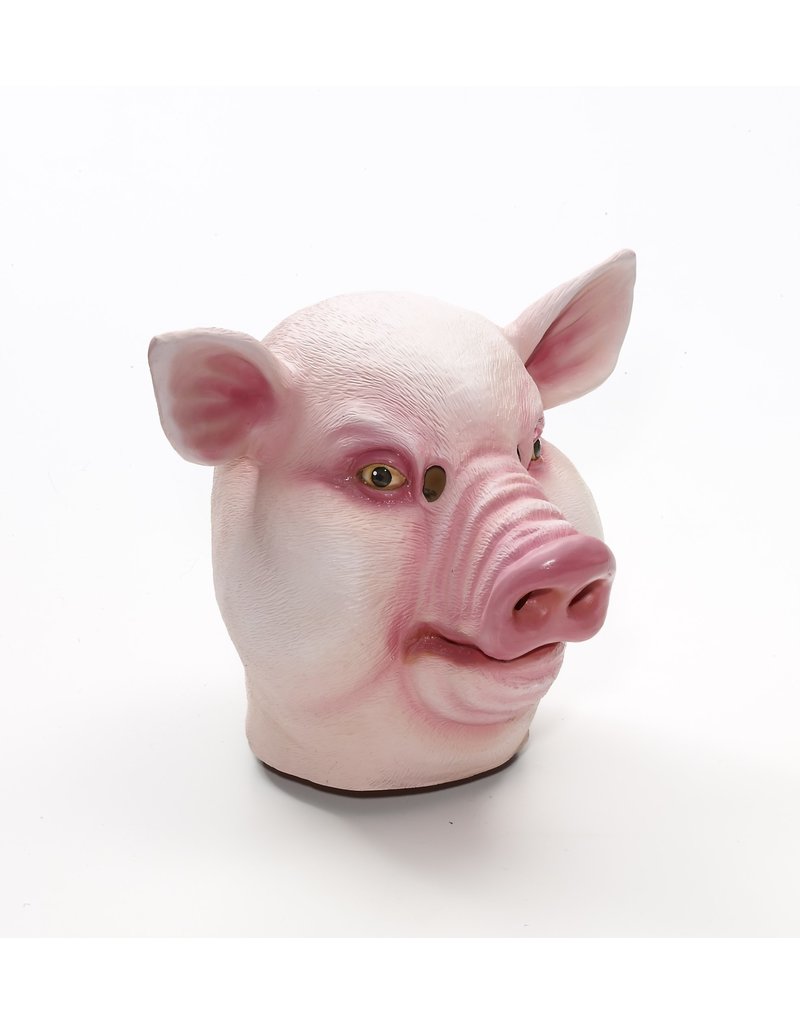 latex pig