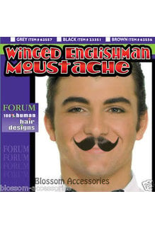 Gray Winged Englishman Moustache