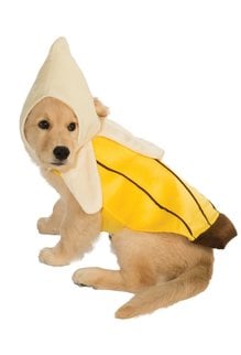 Rubies Costumes Banana Pet Costume