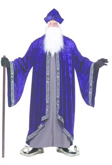 Men's Plus Size Grand Wizard: XXXL (Plus)