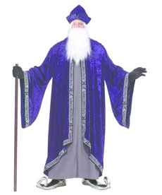 Men's Plus Size Grand Wizard: XXXL (Plus)