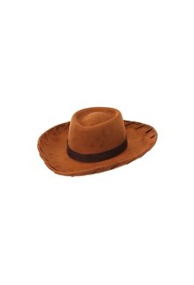 elope Disney Toy Story Deluxe Woody Hat