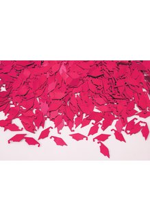 Graduation Confetti (1/2 oz Bag)