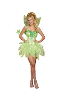 Dream Girl Women's Fairy-Licious Costume