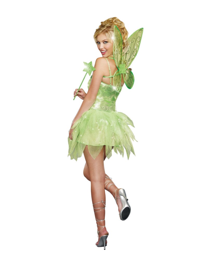 Dream Girl Women's Fairy-Licious Costume