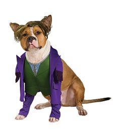 Rubies Costumes Joker: Pet Costume