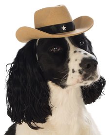 Rubies Costumes Cowboy Pet Hat (Brown): Pet Costume