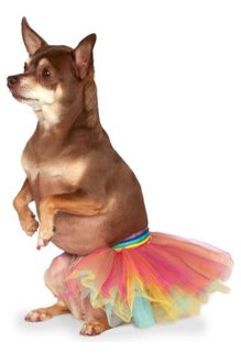 Rubies Costumes Pet Tutu (Rainbow): Pet Costume
