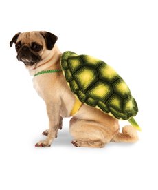 Rubies Costumes Turtle Shell: Pet Costume