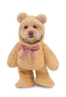 Rubies Costumes Walking: Teddy Bear: Pet Costume