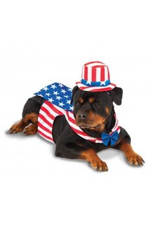 Rubies Costumes Big Dog: Uncle Sam