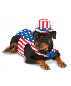 Rubies Costumes Big Dog: Uncle Sam