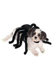 Rubies Costumes Spider Harness: Pet Costume