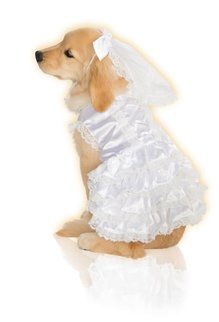 Rubies Costumes Bride: Pet Costume