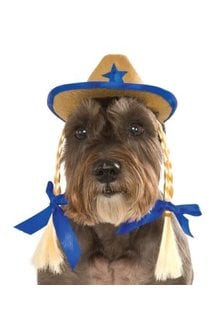 Rubies Costumes Cowgirl Hat w/ Braids: Pet Costume