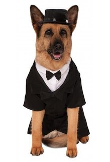 Rubies Costumes Big Dog: Dapper Dog: Pet Costume