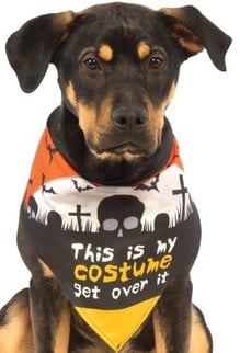 Rubies Costumes Bandanna: This Is My Costume Get Over It: Pet Costume