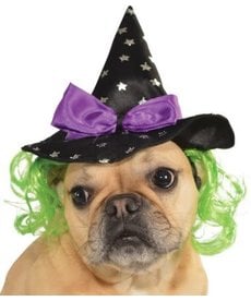 Rubies Costumes Witch Pet Hat w/ Hair: Pet Costume